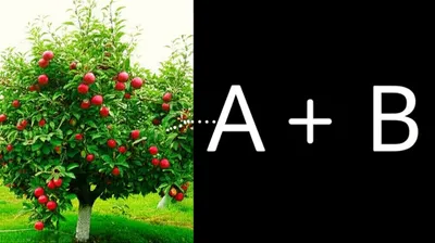 Illustration binomial - Image 1