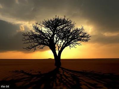 Illustration darkened - Image 1