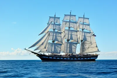 Illustration navigated - Image 1