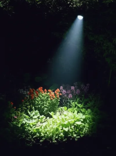 Illustration illustrating