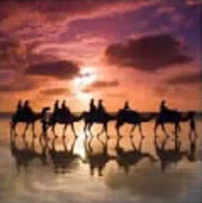 Illustration caravan - Image 2