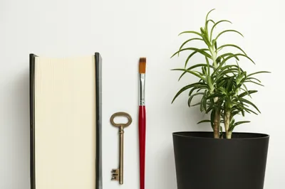 Illustration parade - Image 1