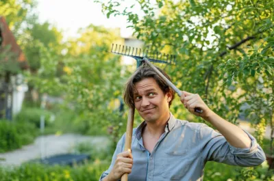 Illustration utilized - Image 1