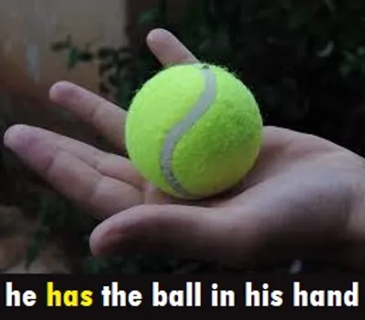 Illustration have - Image 5