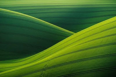 Illustration saddle - Image 1