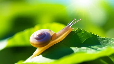 Illustration m - Image 1