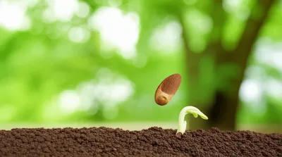 Illustration begets - Image 1