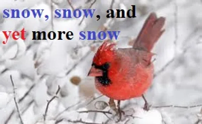 Illustration yet - Image 2