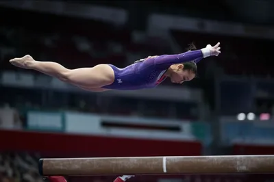 Illustration rolls - Image 1