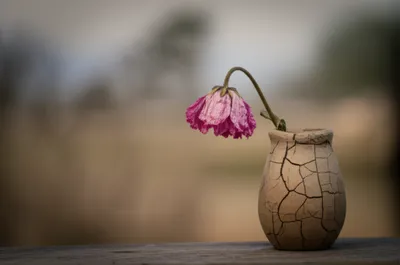 Illustration abraded - Image 1