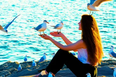 Illustration siren - Image 1