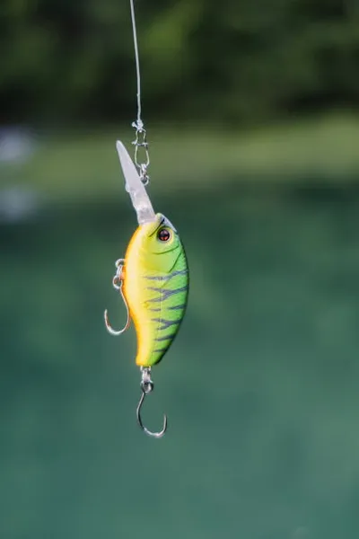 Illustration baited - Image 2