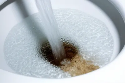 Illustration flush - Image 1