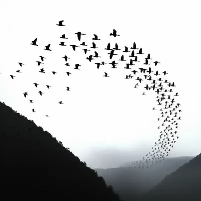 Визуальная иллюстрация слова «ascended» - Подниматься, взлетать, парить