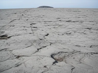 Illustration shield - Image 1