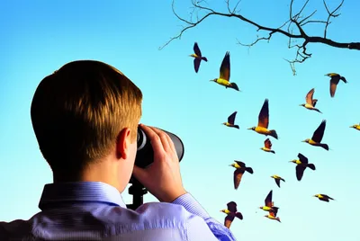 Illustration missed - Image 1