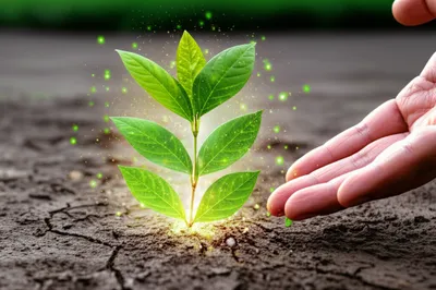 Illustration remedies - Image 1