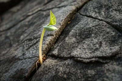 Illustration tougher - Image 1