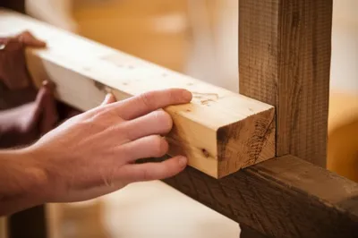 Illustration timber - Image 1