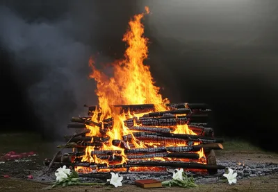 Illustration bale - Image 1