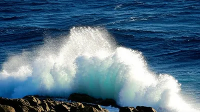 Illustration licks - Image 1