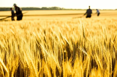 Illustration cropping - Image 1