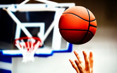 Illustration shot - Image 1