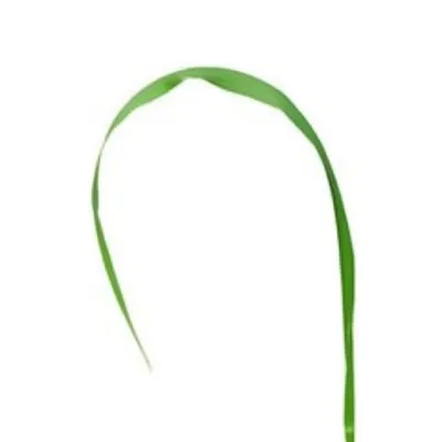 Illustration recurved - Image 1