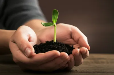 Illustration handles - Image 1