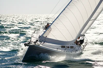 Illustration haul - Image 1