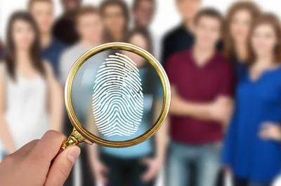 Illustration identifying - Image 1