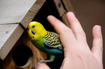 Illustration clap - Image 1