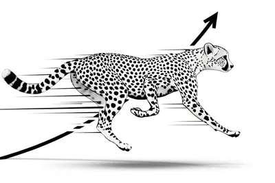 Illustration accelerators - Image 2