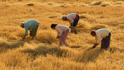 Illustration lease - Image 1