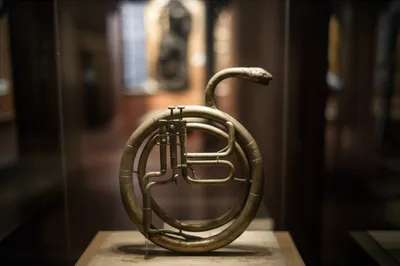 Illustration serpents - Image 1