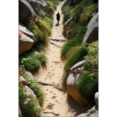 Illustration trail - Image 1