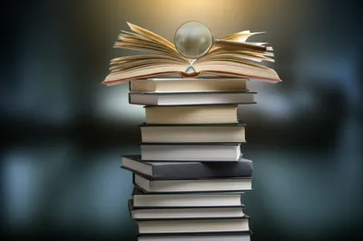 Illustration reference - Image 1