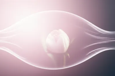 Illustration cherries - Image 1