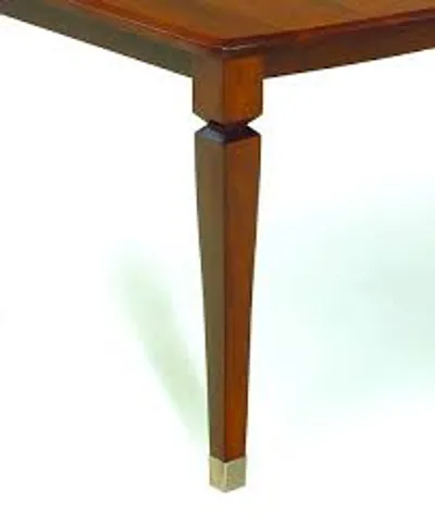 Illustration leg - Image 2