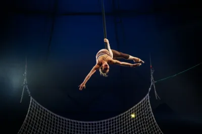 Illustration trapeze - Image 1