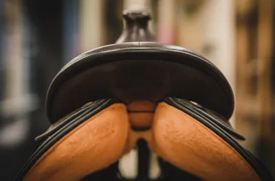 Illustration cantle - Image 1