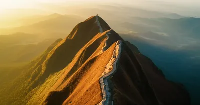 Illustration culminates - Image 1