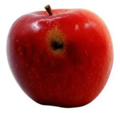 Illustration discoloring - Image 1