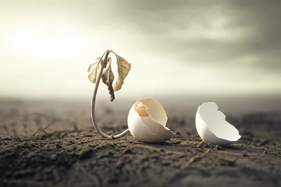 Illustration abortive - Image 1