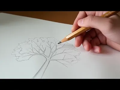 Illustration describing - Image 1