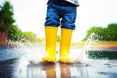 Illustration paddled - Image 1