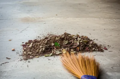 Illustration sweepings