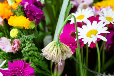 Illustration undesirable - Image 1