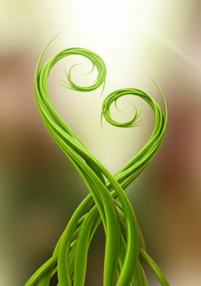 Illustration twining - Image 1