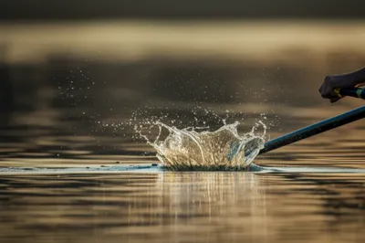 Illustration backsplash - Image 1